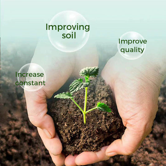 🔥Rapid Rooting And Flowering Powder(50% OFF)