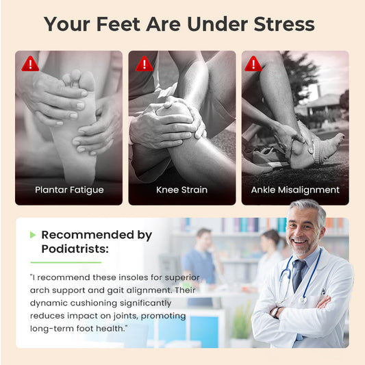 Comfortable Insoles with Air Cushion and Height-Increasing Effect