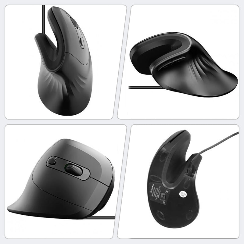 Ergonomic Low Noise Mouse