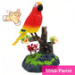 Voice-Activated Chirping Bird Interactive Toy