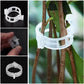 🗜️Clips For Climbing Plants – Plastic tomato ties and plant fasteners 🌱🍅