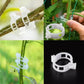 🗜️Clips For Climbing Plants – Plastic tomato ties and plant fasteners 🌱🍅