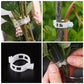 🗜️Clips For Climbing Plants – Plastic tomato ties and plant fasteners 🌱🍅
