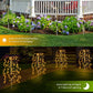 ✨ Solar Garden Lights Outdoor Decor – 100 LEDs, IP55 Waterproof, Easy Install 🌙