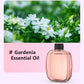 🥳Freshen Any Room Instantly! No-Cord Timed Aroma Diffuser