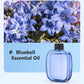 🥳Freshen Any Room Instantly! No-Cord Timed Aroma Diffuser