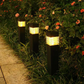 Solar Outdoor Garden Lights Waterproof Square Ground Plug Pathway Lawn Lights for Yard and Landscape Decoration